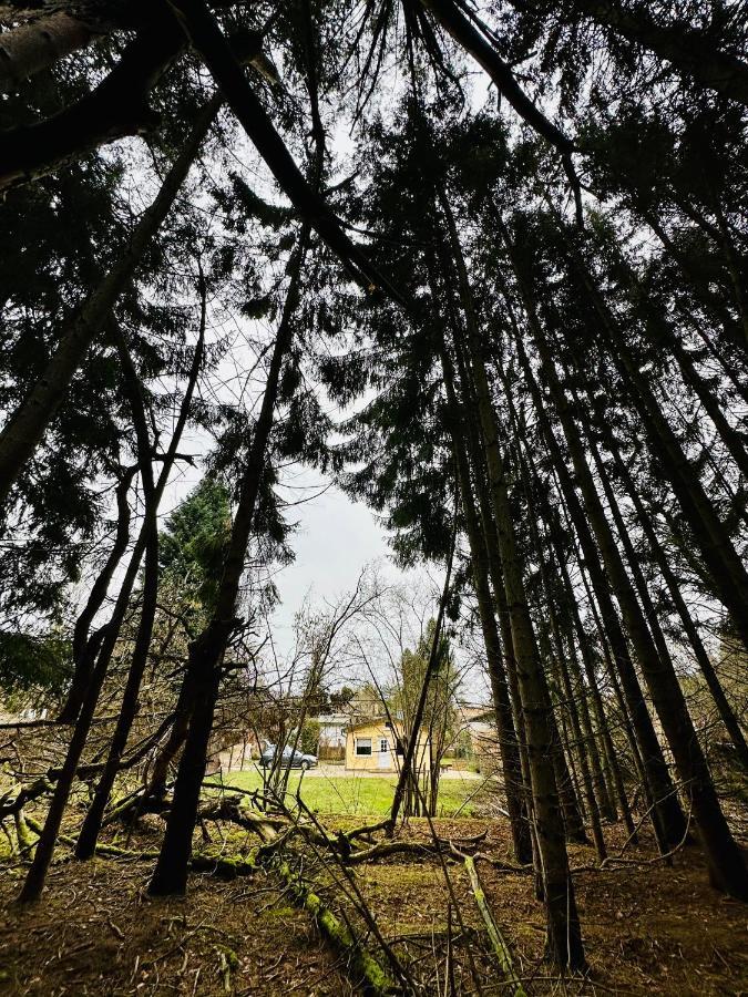 Ferienhaus Biber Godendorf  ภายนอก รูปภาพ